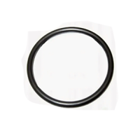 Brtva grijača bojlera ARISTON st. - prsten 