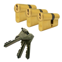 Garnitura 3 cilindra 30 + 30 MS